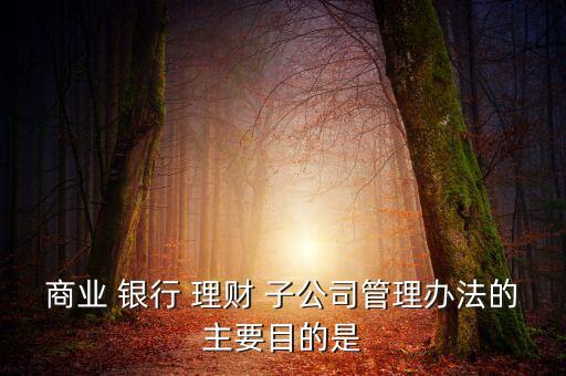 銀行理財業(yè)務子公司,銀行總行好還是理財子公司好
