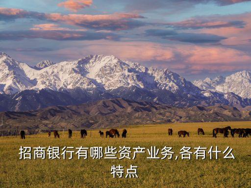  招商銀行有哪些資產業(yè)務,各有什么特點