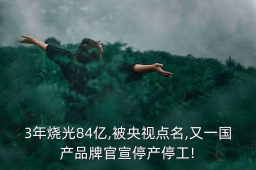 英飛尼迪股權基金