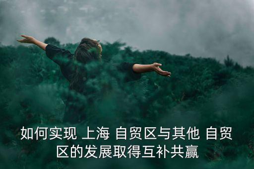 如何實現(xiàn) 上海 自貿(mào)區(qū)與其他 自貿(mào)區(qū)的發(fā)展取得互補共贏