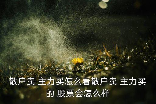 散戶賣(mài) 主力買(mǎi)怎么看散戶賣(mài) 主力買(mǎi)的 股票會(huì)怎么樣