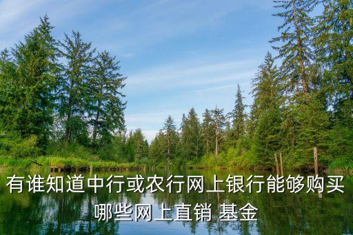 有誰知道中行或農(nóng)行網(wǎng)上銀行能夠購(gòu)買哪些網(wǎng)上直銷 基金