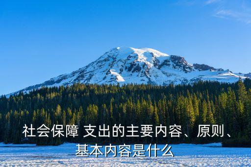  社會保障 支出的主要內容、原則、基本內容是什么