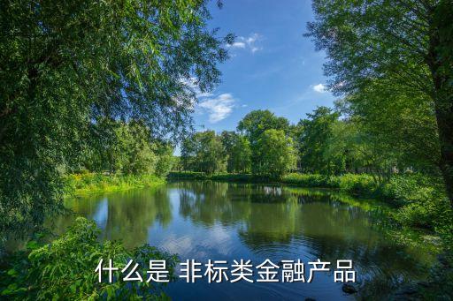 什么是 非標類金融產(chǎn)品