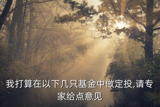 國(guó)投瑞銀中國(guó)價(jià)值費(fèi)率