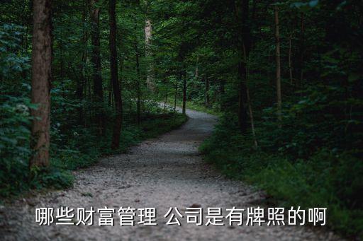 2015年理財(cái)咨詢(xún)公司