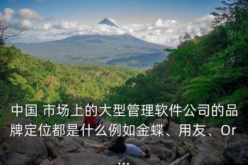 中國 市場上的大型管理軟件公司的品牌定位都是什么例如金蝶、用友、Or...