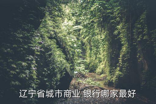 城商銀行有哪些,開(kāi)工商銀行需要什么條件