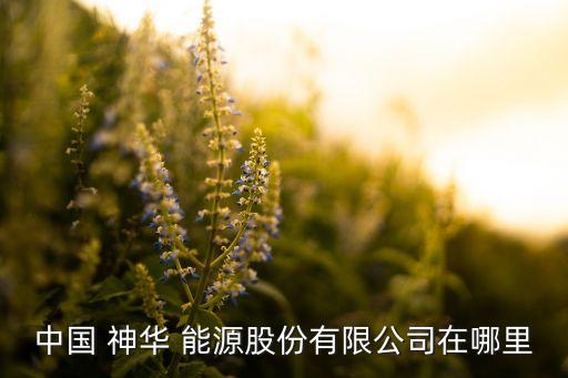 中國(guó) 神華 能源股份有限公司在哪里