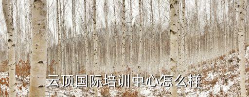 萬(wàn)澤集團(tuán)實(shí)際控制人,旅行者汽車集團(tuán)實(shí)際控制人