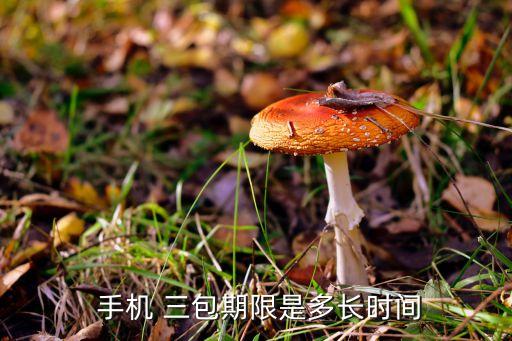 中國手機(jī)三包規(guī)定,手機(jī)三包規(guī)定簽收與發(fā)票時(shí)間不一時(shí)應(yīng)該按照哪個(gè)