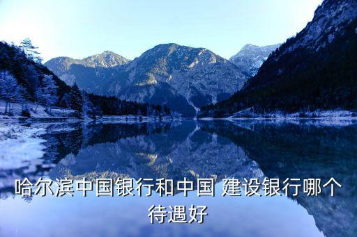 哈爾濱中國銀行和中國 建設(shè)銀行哪個(gè)待遇好