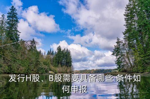 發(fā)行H股、B股需要具備哪些 條件如何申報(bào)