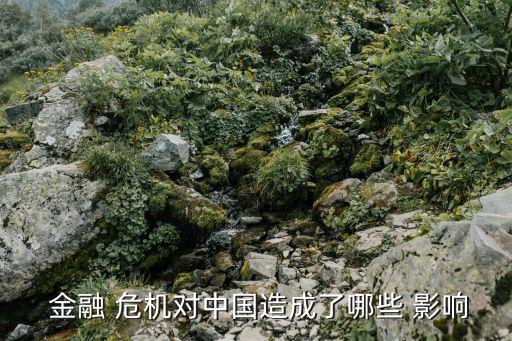全球金融危機(jī)對(duì)中國經(jīng)濟(jì)的影響,08年金融危機(jī)對(duì)全球的影響