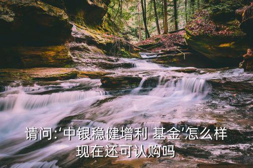 請(qǐng)問:‘中銀穩(wěn)健增利 基金’怎么樣現(xiàn)在還可認(rèn)購(gòu)嗎