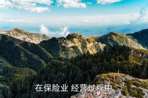 在保險業(yè) 經營過程中