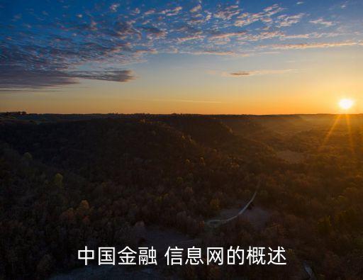 中國(guó)金融 信息網(wǎng)的概述