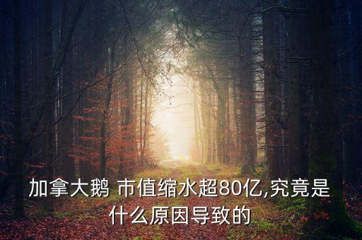 加拿大鵝 市值縮水超80億,究竟是什么原因導致的
