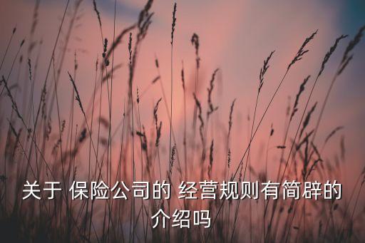 關于 保險公司的 經營規(guī)則有簡辟的介紹嗎