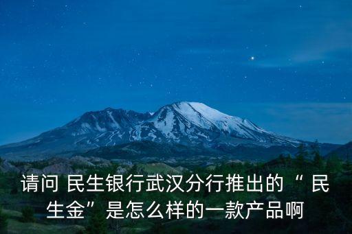 請(qǐng)問(wèn) 民生銀行武漢分行推出的“ 民生金”是怎么樣的一款產(chǎn)品啊