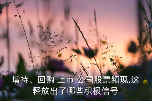 增持、回購(gòu) 上市 公司股票頻現(xiàn),這釋放出了哪些積極信號(hào)