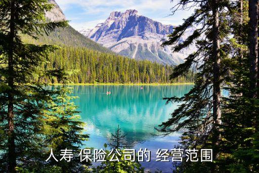 保險(xiǎn)公司保險(xiǎn)經(jīng)營