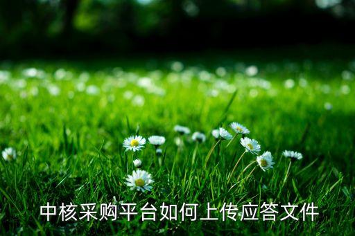  中核采購(gòu)平臺(tái)如何上傳應(yīng)答文件