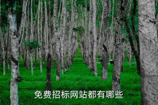 免費(fèi)招標(biāo)網(wǎng)站都有哪些