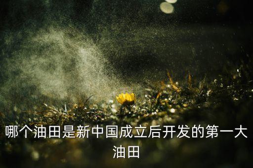 哪個(gè)油田是新中國成立后開發(fā)的第一大油田