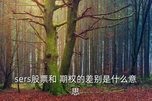 sers股票和 期權的差別是什么意思
