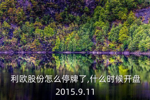上海利歐集團(tuán),利歐集團(tuán)是500強嗎