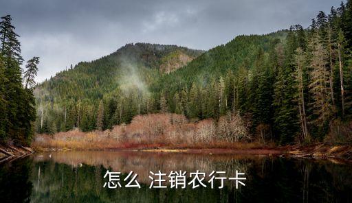 如何注銷中國農業(yè)銀行卡,注銷中國農業(yè)銀行卡可以在手機上操作嗎