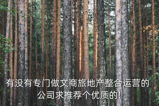 有沒有專門做文商旅地產(chǎn)整合運(yùn)營的 公司求推薦個(gè)優(yōu)質(zhì)的!