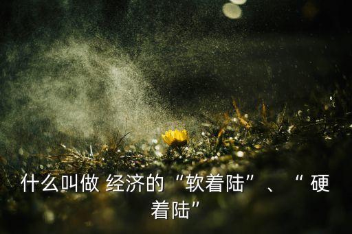 什么叫做 經(jīng)濟(jì)的“軟著陸”、“ 硬著陸”