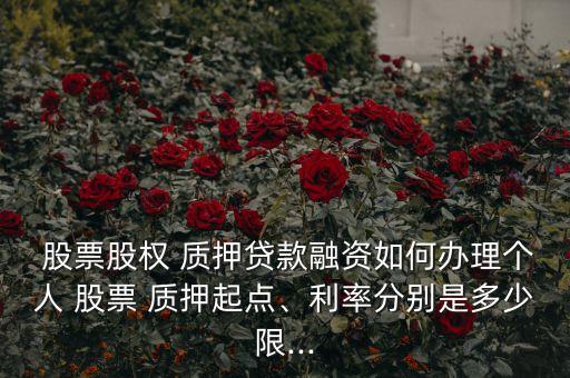  股票股權(quán) 質(zhì)押貸款融資如何辦理個(gè)人 股票 質(zhì)押起點(diǎn)、利率分別是多少限...