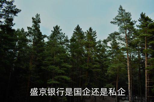 盛京銀行股份有限公司獨(dú)立董事,新華都購物廣場股份有限公司獨(dú)立董事