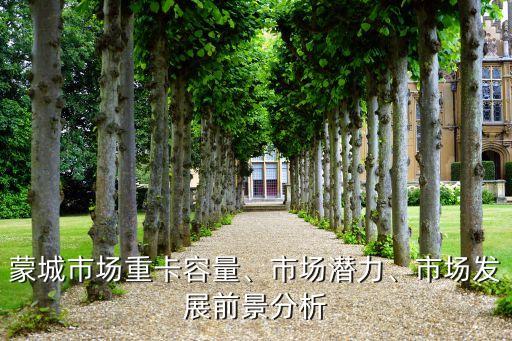 蒙城市場重卡容量、市場潛力、市場發(fā)展前景分析