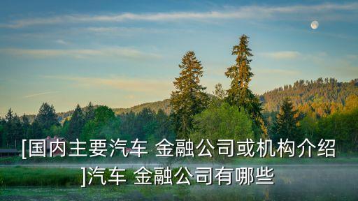 [國(guó)內(nèi)主要汽車(chē) 金融公司或機(jī)構(gòu)介紹]汽車(chē) 金融公司有哪些