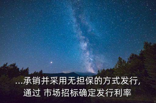 ...承銷并采用無(wú)擔(dān)保的方式發(fā)行,通過(guò) 市場(chǎng)招標(biāo)確定發(fā)行利率