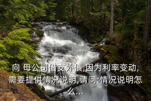 向 母公司借支外債,因?yàn)槔首儎?需要提供情況說明,請問:情況說明怎么...