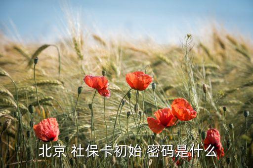  北京 社?？ǔ跏?密碼是什么