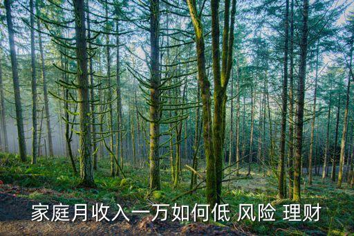低風(fēng)險(xiǎn)投資個(gè)人理財(cái),基金投資對個(gè)人理財(cái)?shù)囊饬x