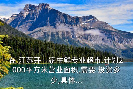 在 江蘇開一家生鮮專業(yè)超市,計(jì)劃2000平方米營業(yè)面積,需要 投資多少,具體...