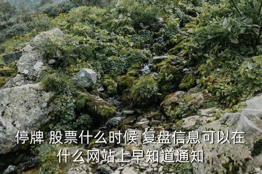 今日復(fù)盤(pán)股票有哪些,復(fù)盤(pán)一只股票需要從哪些方面