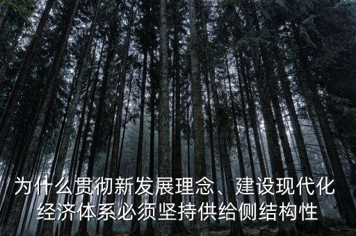 為什么貫徹新發(fā)展理念、建設(shè)現(xiàn)代化 經(jīng)濟體系必須堅持供給側(cè)結(jié)構(gòu)性