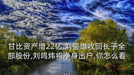 甘比資產增22億,劉鑾雄收回長子全部股份,劉鳴煒將凈身出戶,你怎么看...