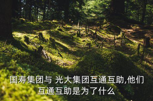 國壽集團與 光大集團互通互助,他們互通互助是為了什么