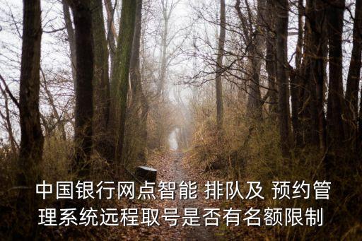  中國銀行網(wǎng)點智能 排隊及 預(yù)約管理系統(tǒng)遠程取號是否有名額限制