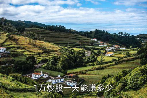股票一天可以賺多少錢(qián)