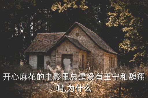 夏洛特煩惱投資方是誰